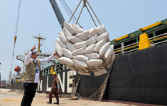 BULOG distribusi 33.000 ton Jagung ke Jawa. (Foto: Bulog)